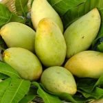 Bigitexco - Mango Vietnam