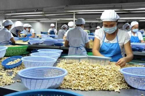 - Bigitexco Vietnam Cashew Nut - Pepper - Dried Fruit Company